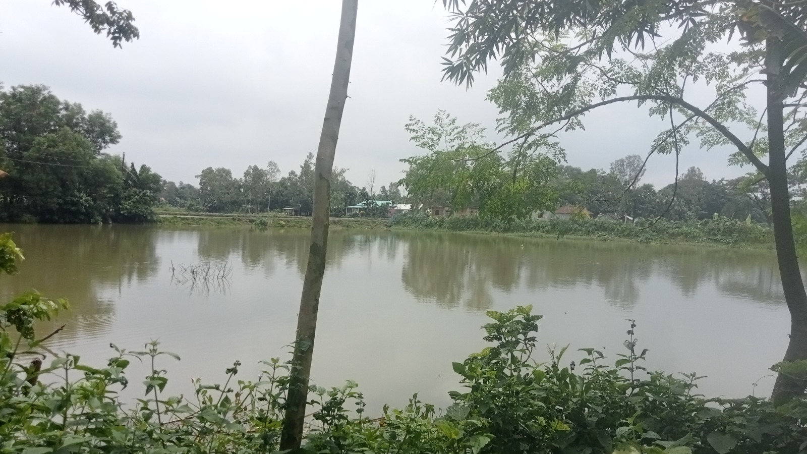 Fish Farm